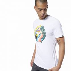 Man T-Shirt Reebok CrossFit Funky Flamingo Tee - EC1484