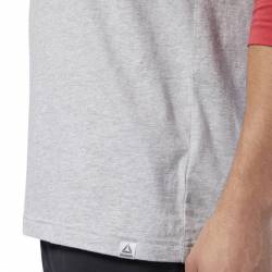 Man T-Shirt Reebok CrossFit Sticker Rip Raglan - DY8441