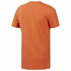 Man T-Shirt Reebok CrossFit Camo Logo Tee - DY8446