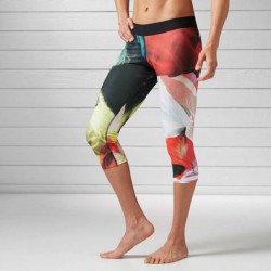 Dámské legíny FADE CAPRI B45936