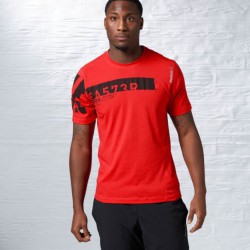 Pánské tričko Reebok OS TRIBLEND 1 B85244