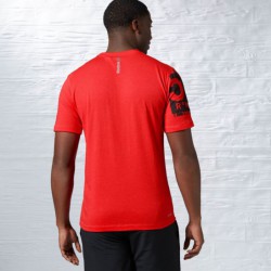 Pánské tričko Reebok OS TRIBLEND 1 B85244