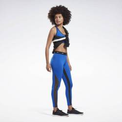 Woman Tight SH HighRise Mesh Tight - FK5349