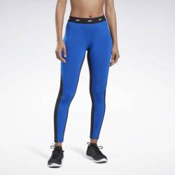 Woman Tight SH HighRise Mesh Tight - FK5349