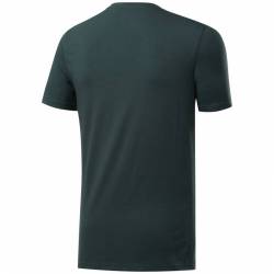 Man T-Shirt UFC FG LOGO TEE - FJ5159