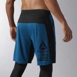 Šortky GRAPHIC SHORT BJ8647