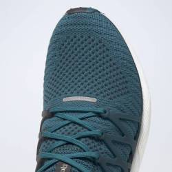Man run Shoes FLOATRIDE RUN 2.0 - EH0974