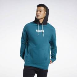 Man hoodie TE LINEAR LOGO OTH HOOD - FJ4680