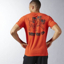 Pánské tričko CrossFit ATHENA TEE BJ9393
