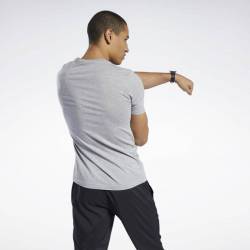 Man T-Shirt GS Reebok Linear Read Tee - FP9162