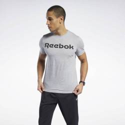 Man T-Shirt GS Reebok Linear Read Tee - FP9162