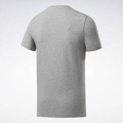 Man T-Shirt GS Reebok Linear Read Tee - FP9162