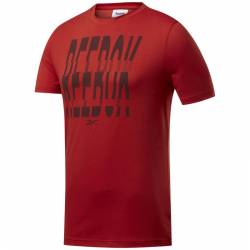 Man T-Shirt GS Reebok 1895 Crew Tee - FK6041