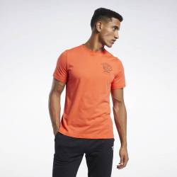 Man T-Shirt GS Panda Crew Tee - FK6021