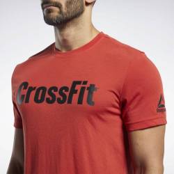 Pánské tričko Reebok CrossFit Read Tee - FK4313