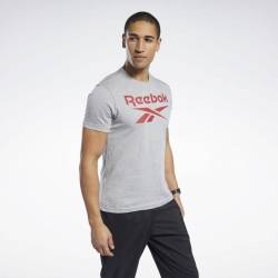 Pánské tričko GS Reebok Stacked Tee - FP9153