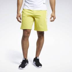 Pánské šortky Reebok CrossFit Epic Base Short LG BR - FU1912