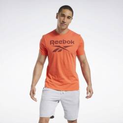 Man T-Shirt GS Reebok Stacked Tee - FP9143