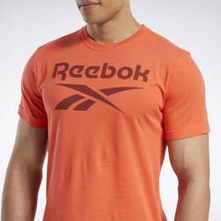 Pánské tričko GS Reebok Stacked Tee - FP9143