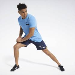 Pánské šortky TS Epic Ltwt Short Gr - FU2898