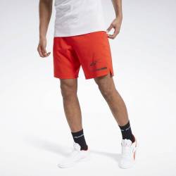 Pánské šortky TS Epic Ltwt Short Gr - FU2896