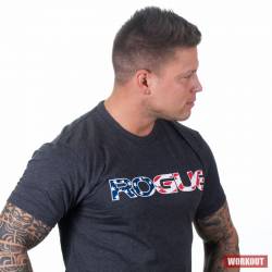 Pánské tričko Rogue Basic - barevné logo