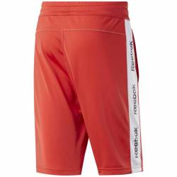 Man Shorts TE LINEAR LOGO SHORT - FK6110