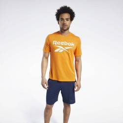 Pánské tričko Workout SUP SS GRAPHIC TEE - FU3253