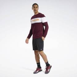 Pánské šortky TE JERSEY SHORT - GD8692