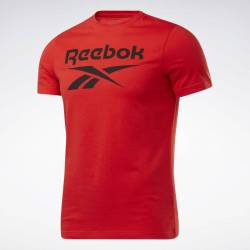 Pánské tričko RI Big Logo Tee - FP9148