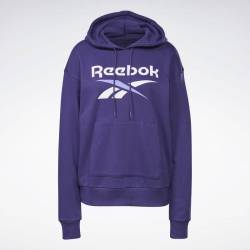 Dámská mikina RI BL French Terry Hoody - GI6697