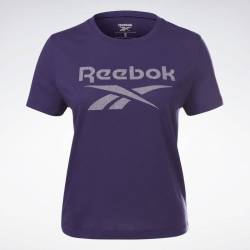 Dámské tričko Workout SUP Slim BL Tee - H22533