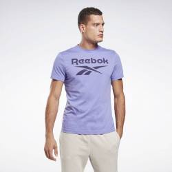 Pánské tričko RI Big Logo Tee - GI8517