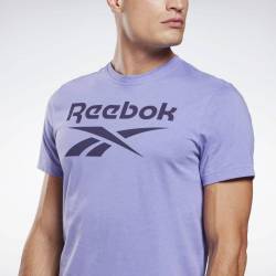 Pánské tričko RI Big Logo Tee - GI8517