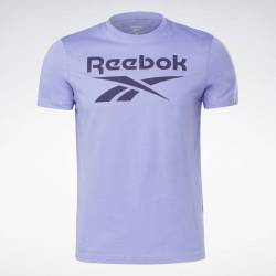 Pánské tričko RI Big Logo Tee - GI8517