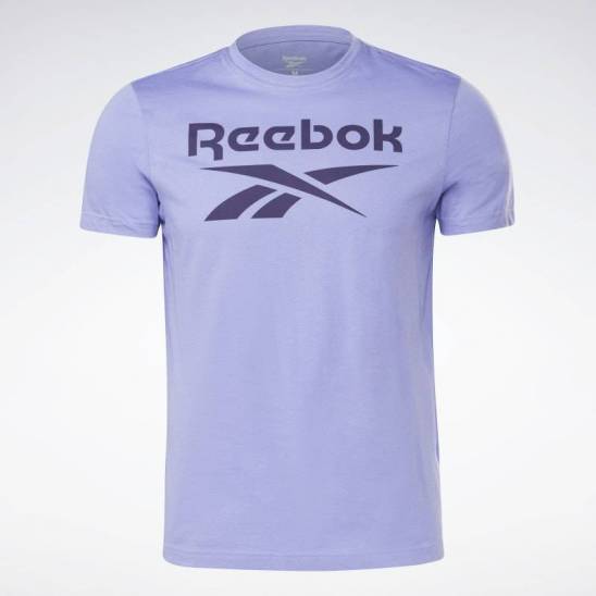 Pánské tričko RI Big Logo Tee - GI8517