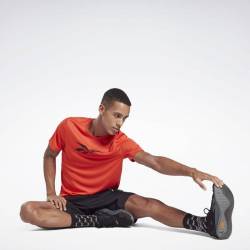 Pánské tričko Workout POLY GRAPHIC SS TEE - GJ0896