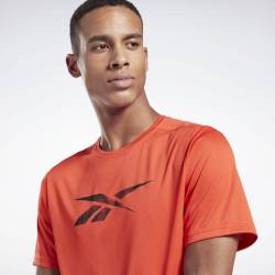 Pánské tričko Workout POLY GRAPHIC SS TEE - GJ0896