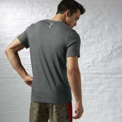 Pánské tričko Reebok SPARTAN SRM SS TEE 2 A99356