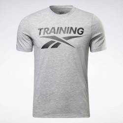 Man T-Shirt Reebok Training Tee - grey