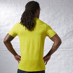 Pánské tričko REEBOK BRAND T AA9673