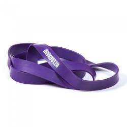 Resistant rubber WORKOUT violet - 29 kg