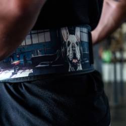 Gewichthebergürtel 2POOD - Französische Bulldogge
