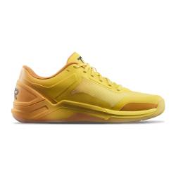 Scarpe da uomo per CrossFit TYR CXT-3 - dorate