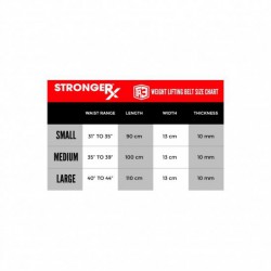 TR3 Weight Lifting Belt 